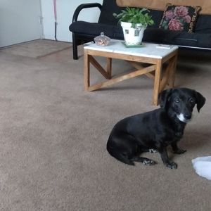 Meet your Posher, Janet